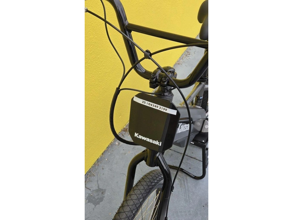 2025 Kawasaki Elektrode® 20fs