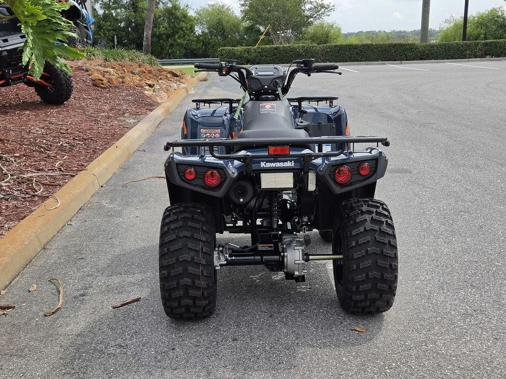 2026 Kawasaki Brute Force® 300