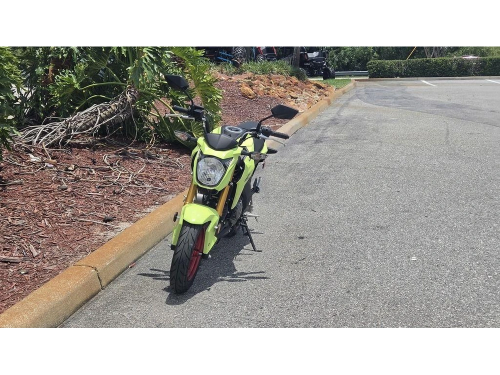 2026 Kawasaki Z125 Pro