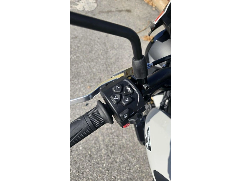 2026 Triumph Trident 800 Ash Grey