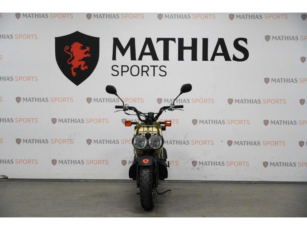 Honda Ruckus Demo 2024
