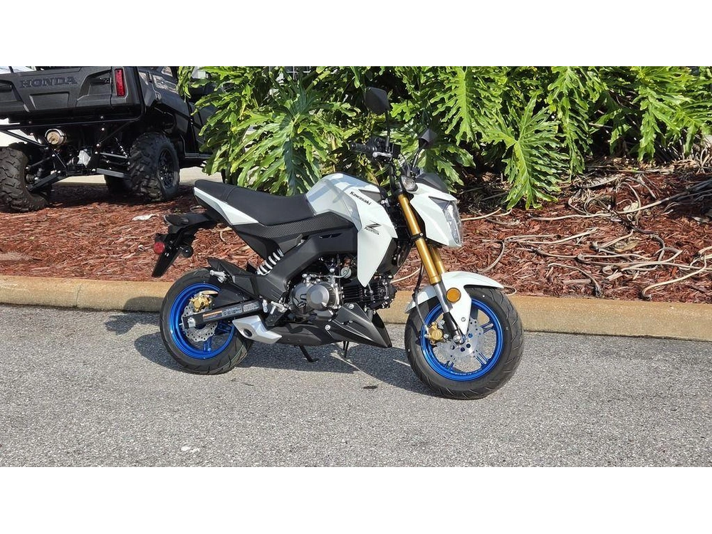 2026 Kawasaki Z125 Pro