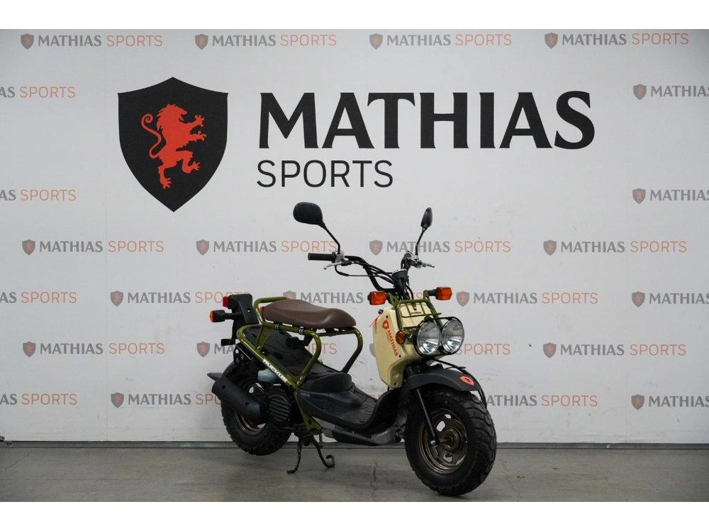 Honda Ruckus Demo 2024