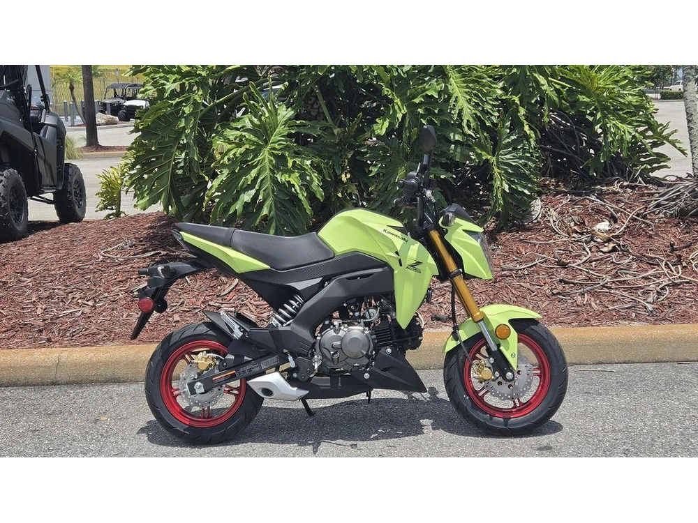 2026 Kawasaki Z125 Pro