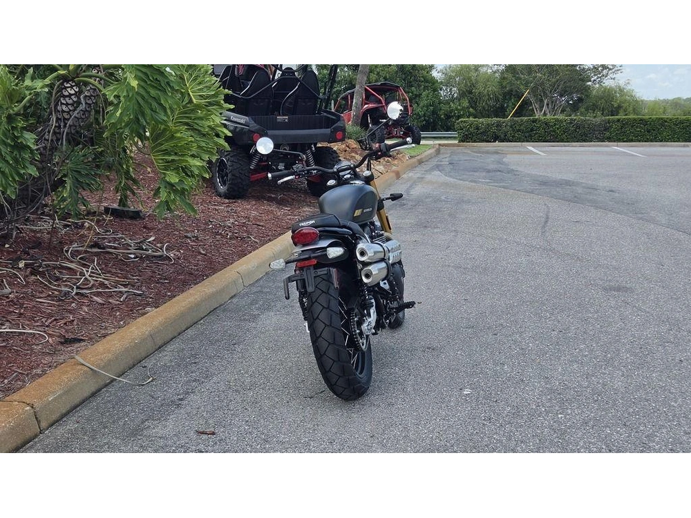 2026 Triumph Scrambler 900 Matt Khaki Green