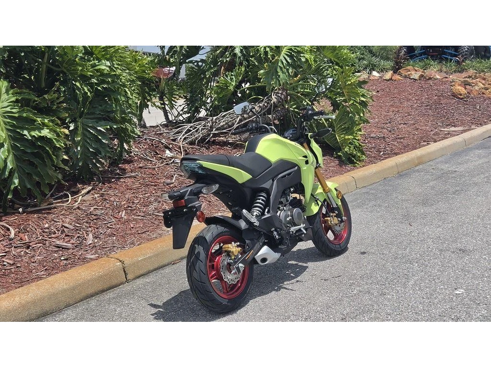 2026 Kawasaki Z125 Pro