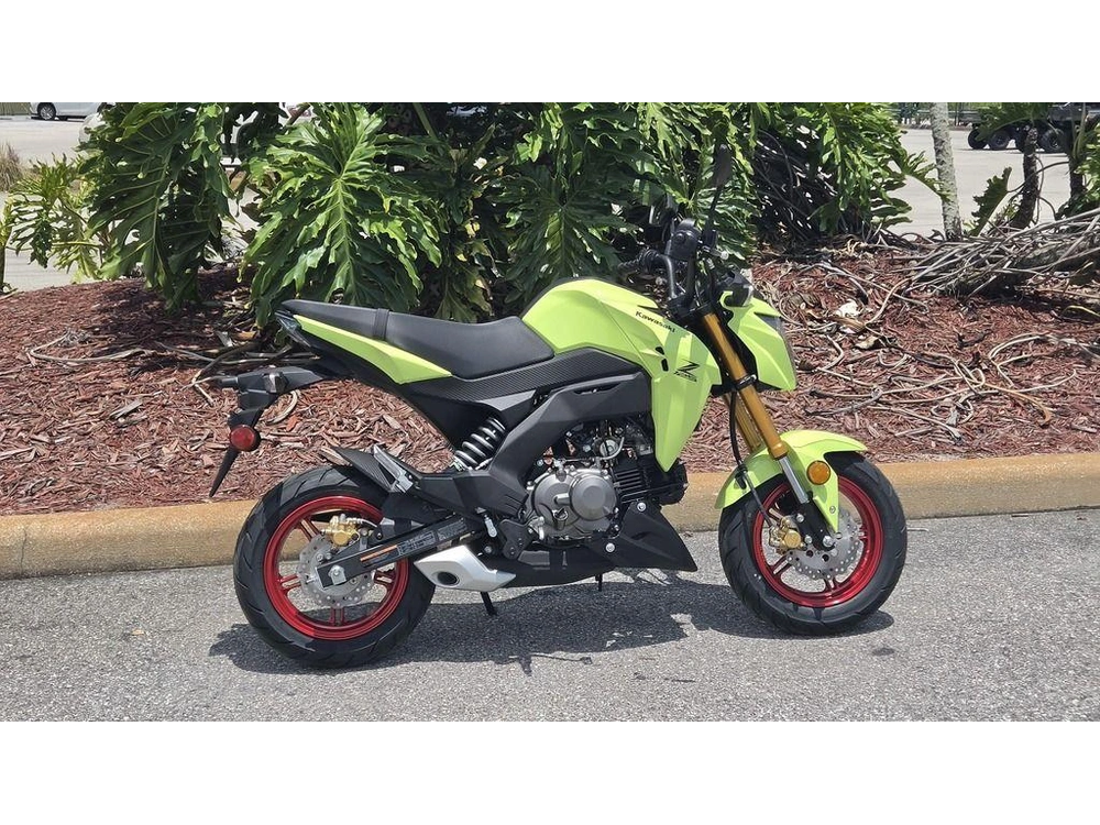 2026 Kawasaki Z125 Pro