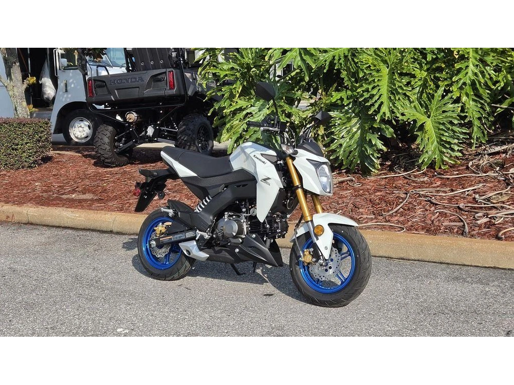 2026 Kawasaki Z125 Pro