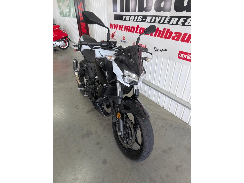 Kawasaki Z 400 2019 alt