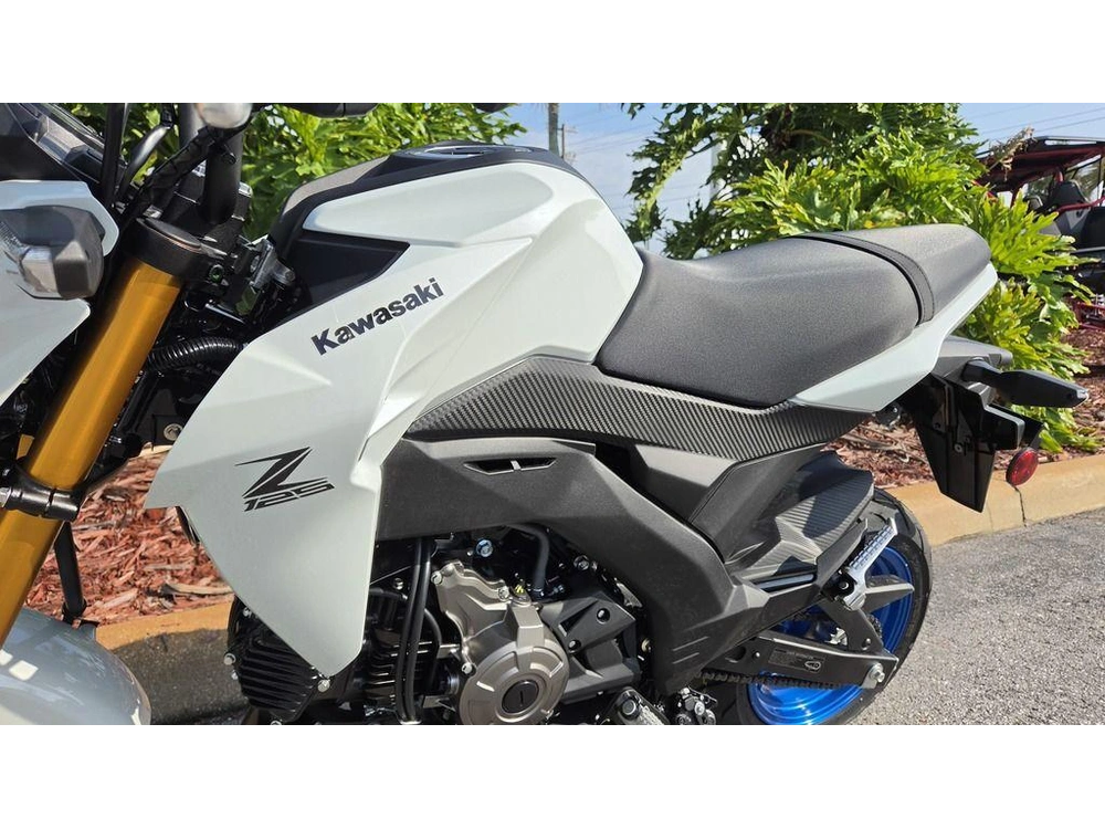 2026 Kawasaki Z125 Pro