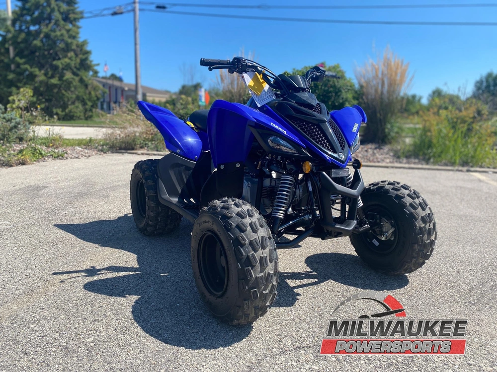 2026 Yamaha Raptor 110