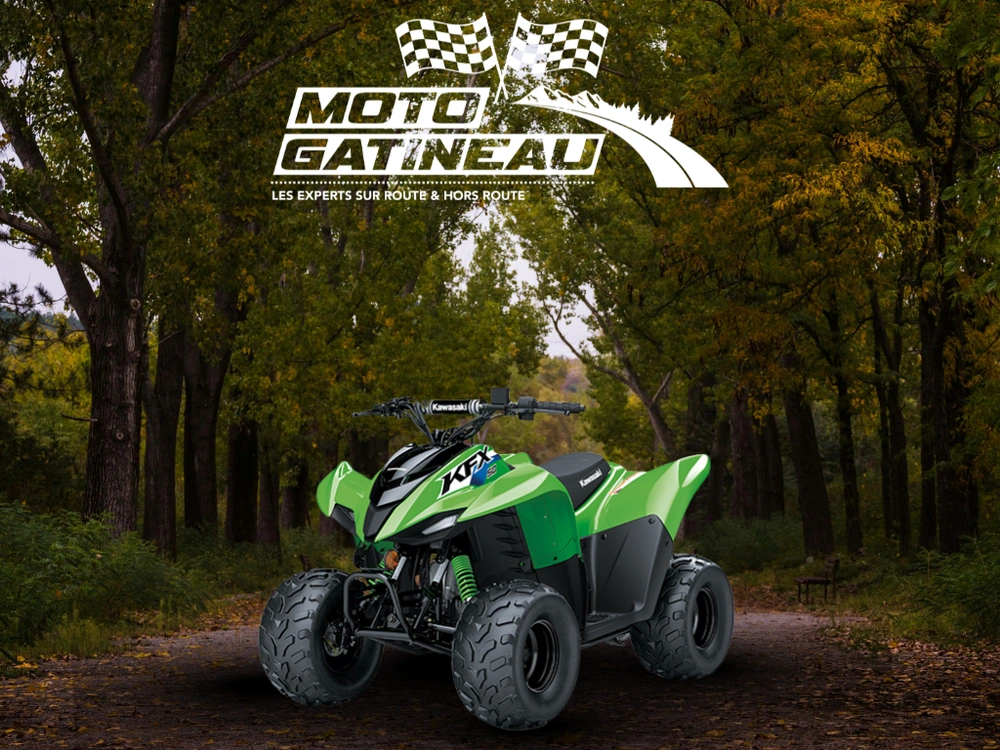 Kawasaki Kfx50 2027 alt