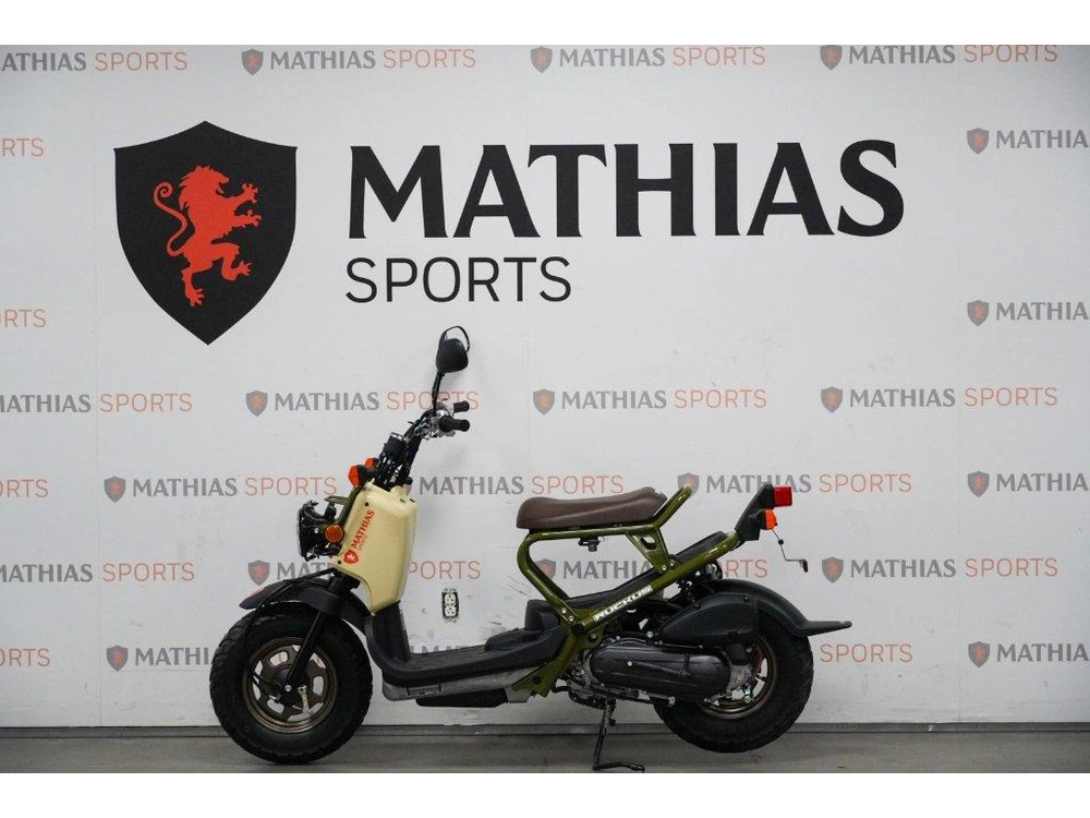 Honda Ruckus Demo 2024