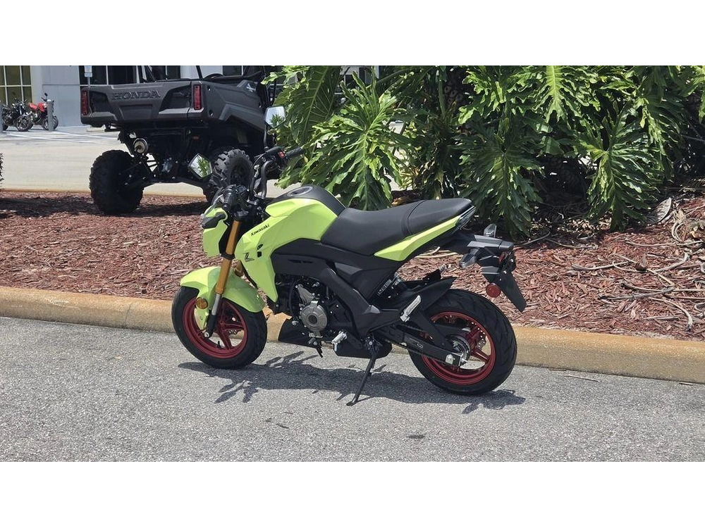 2026 Kawasaki Z125 Pro