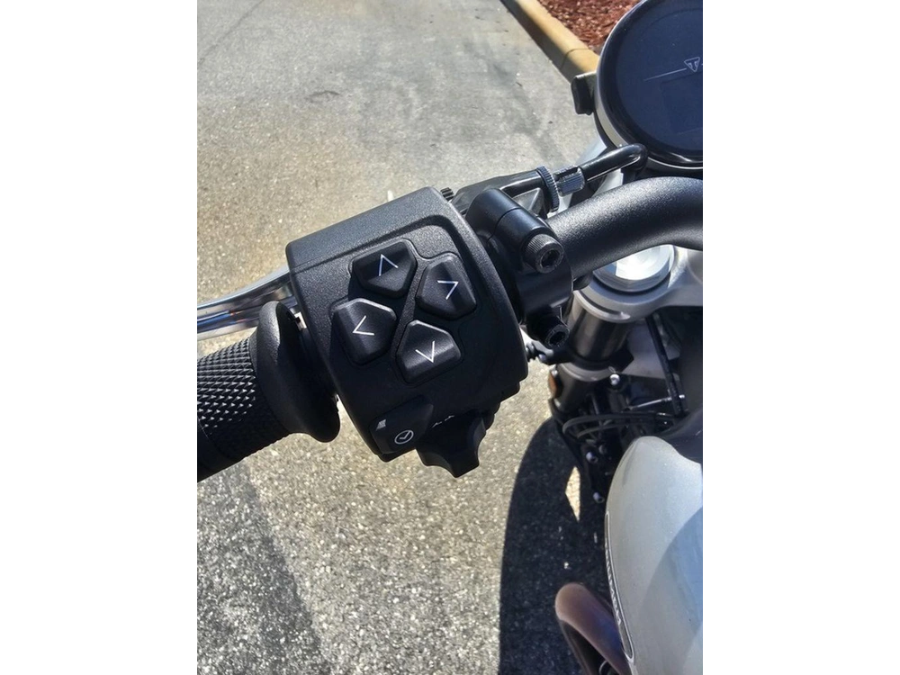 2025 Triumph Speed Twin 1200 Aluminum Silver