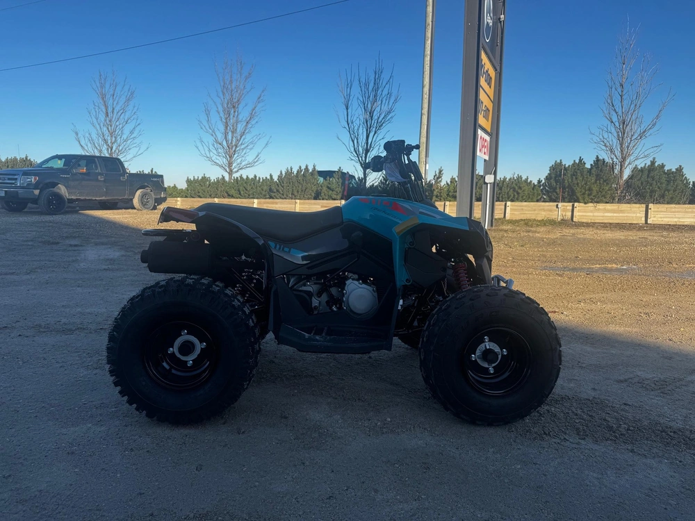 2026 Can-am Renegade 110 Efi