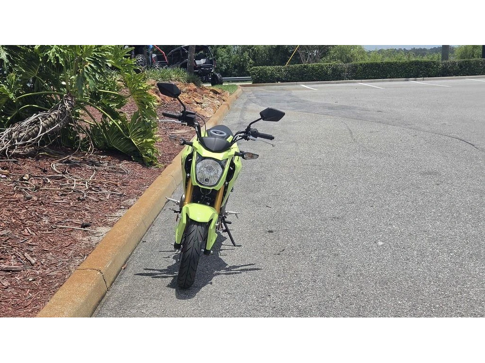2026 Kawasaki Z125 Pro