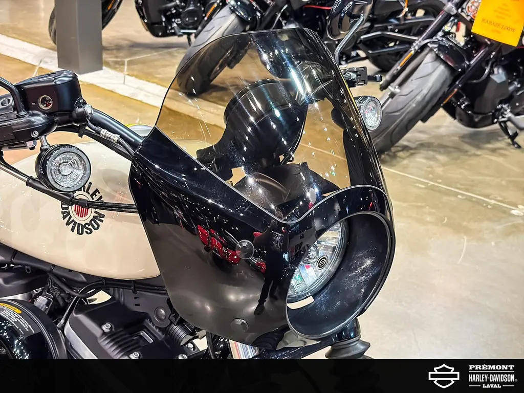 Harley-Davidson SPORTSTER IRON 883XL883 2022