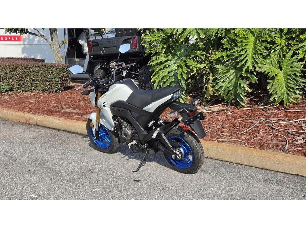 2026 Kawasaki Z125 Pro