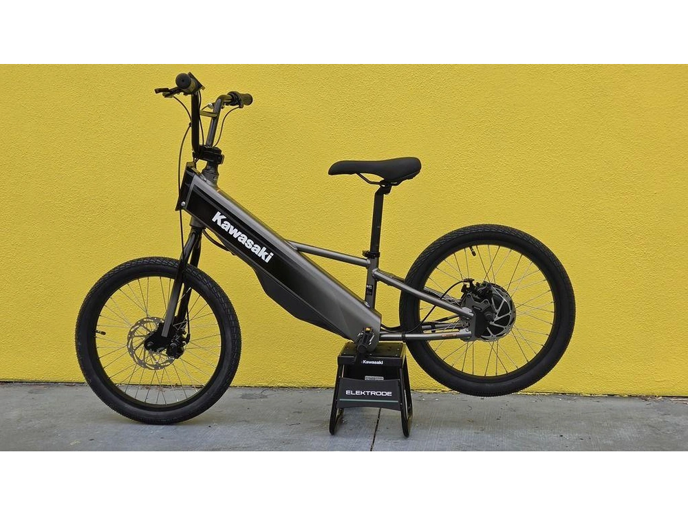 2025 Kawasaki Elektrode® 20fs