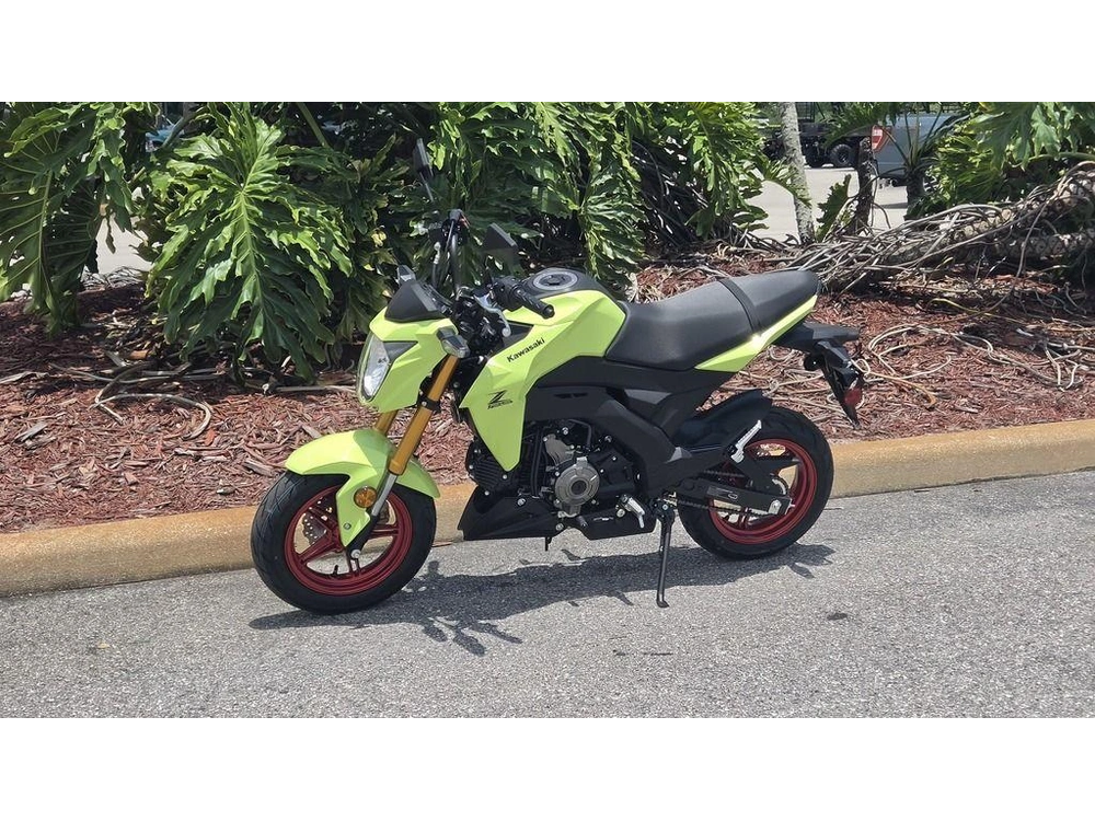 2026 Kawasaki Z125 Pro