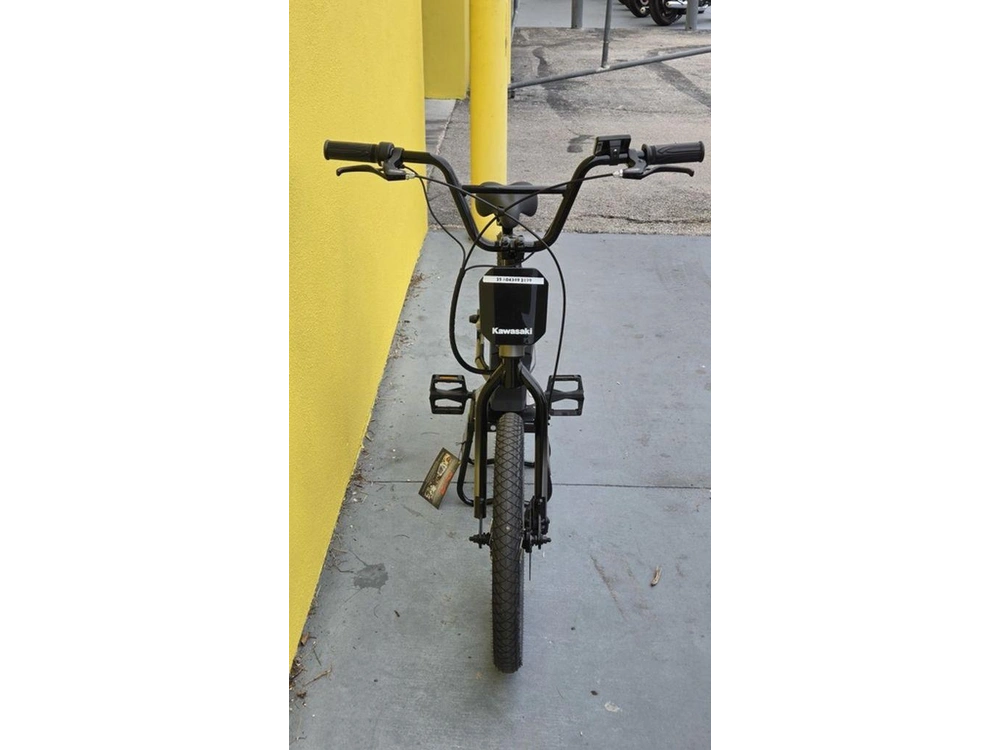 2025 Kawasaki Elektrode® 20fs