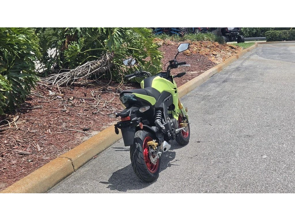 2026 Kawasaki Z125 Pro