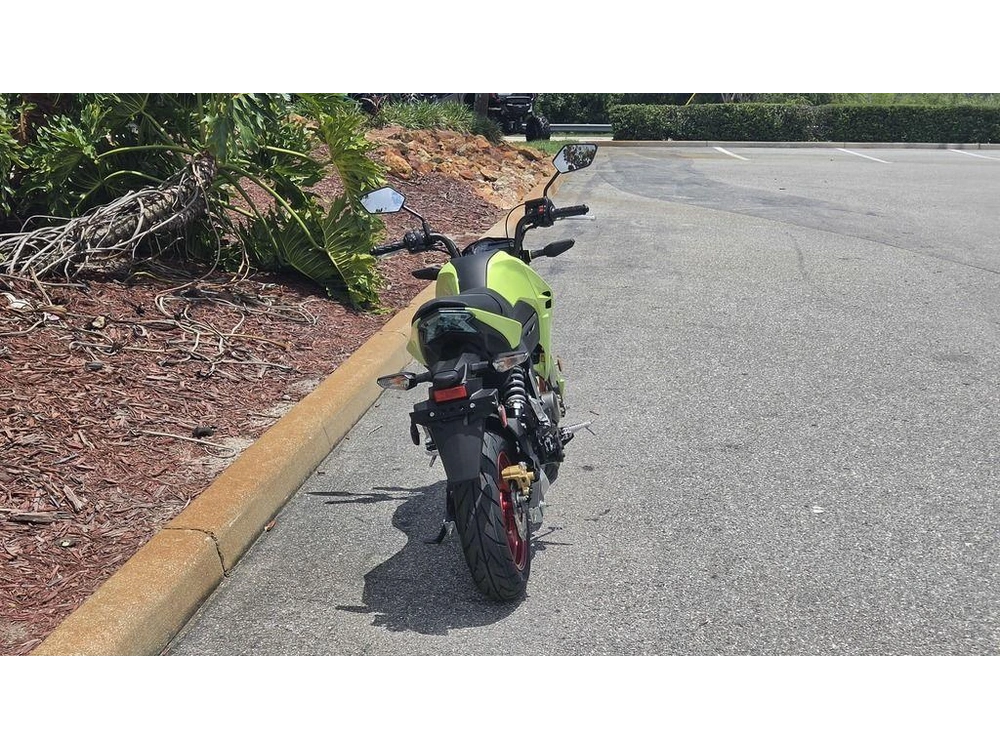 2026 Kawasaki Z125 Pro