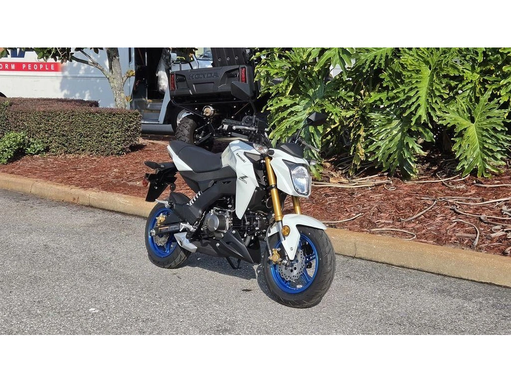 2026 Kawasaki Z125 Pro