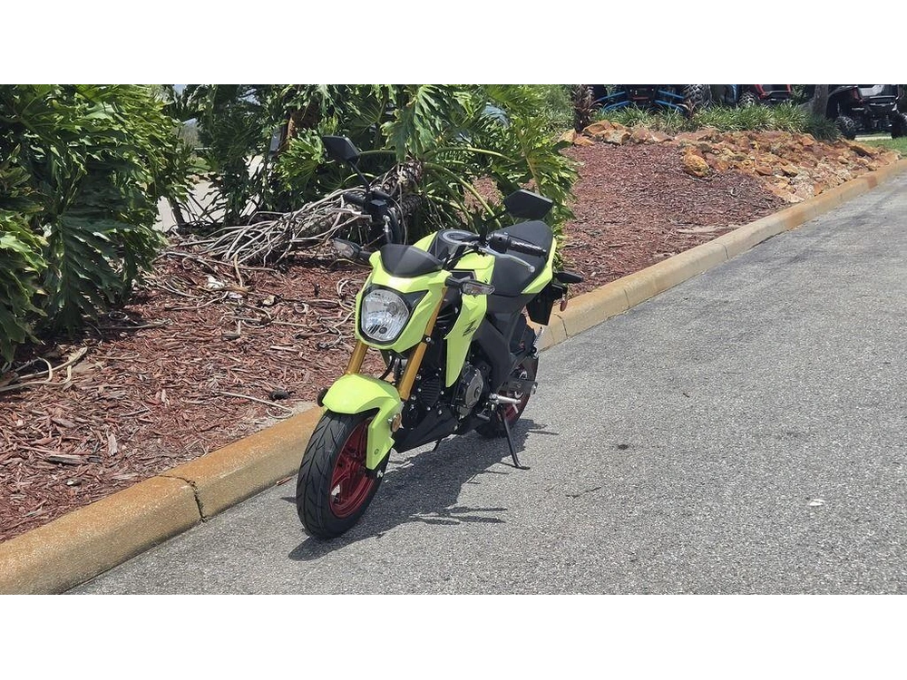 2026 Kawasaki Z125 Pro