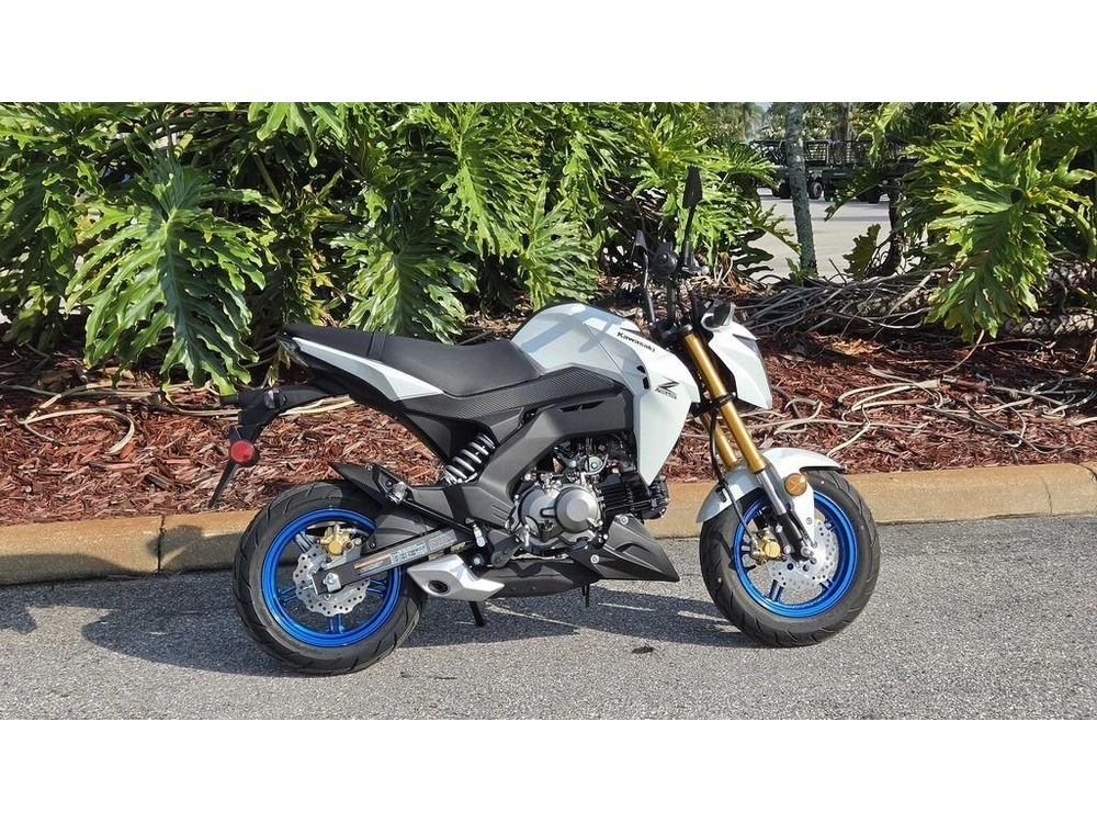 2026 Kawasaki Z125 Pro