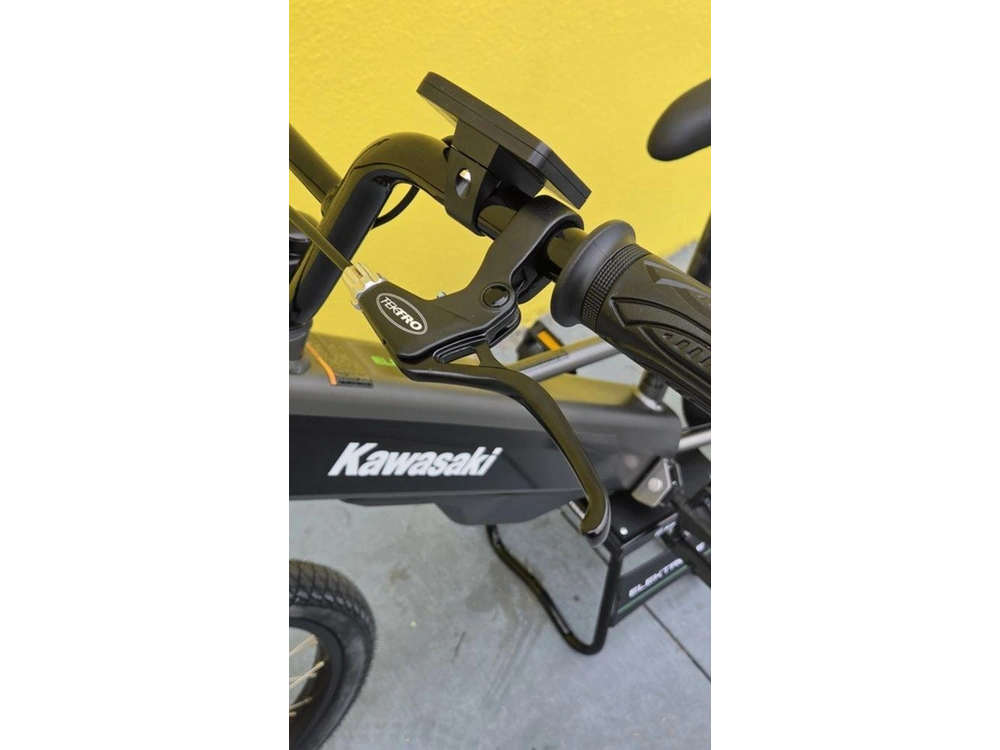 2025 Kawasaki Elektrode® 20fs