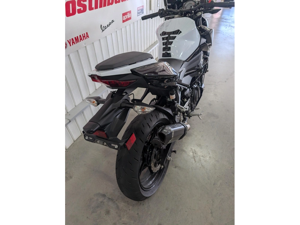 Kawasaki Z 400 2019 alt