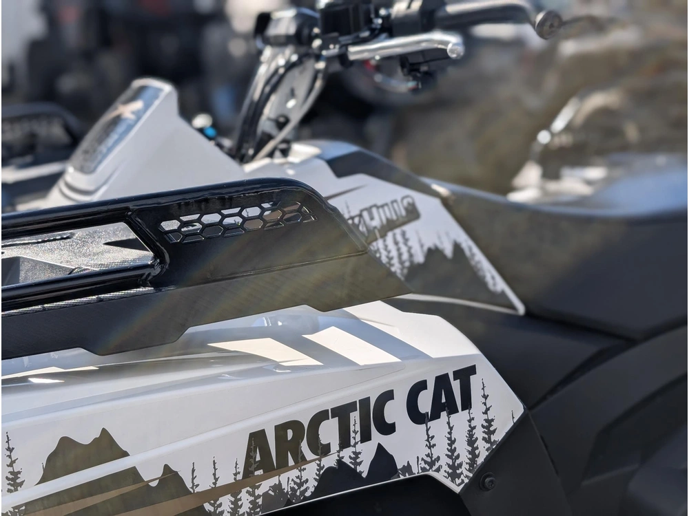 2023 Arctic Cat Alterra 600 Eps Black Hills 🛻 Vtt Travail Léger Ferme Propriété Racks Robuste alt
