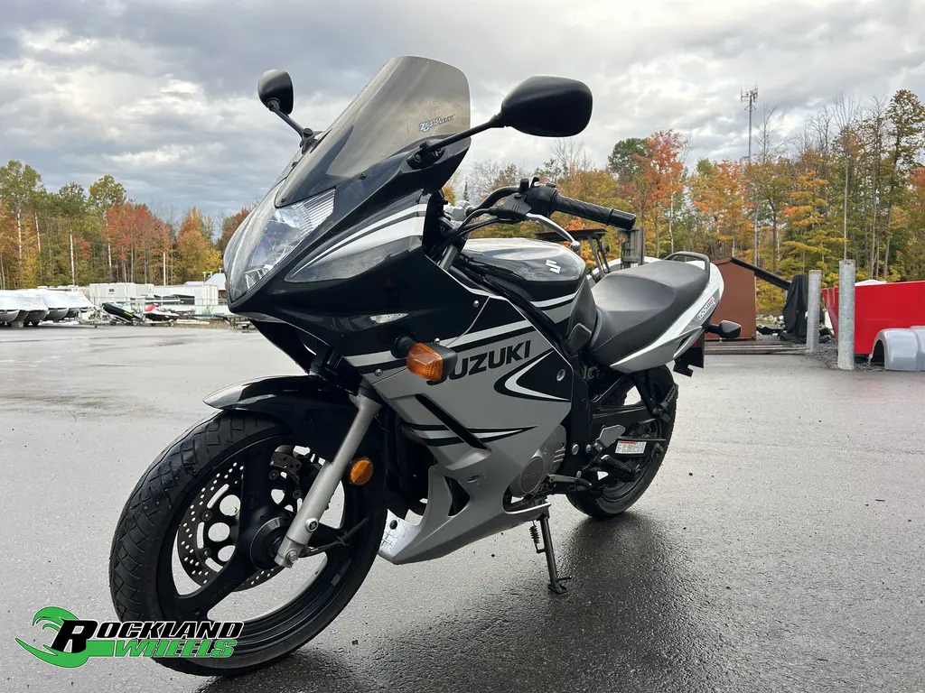 2006 Suzuki GS 500 F