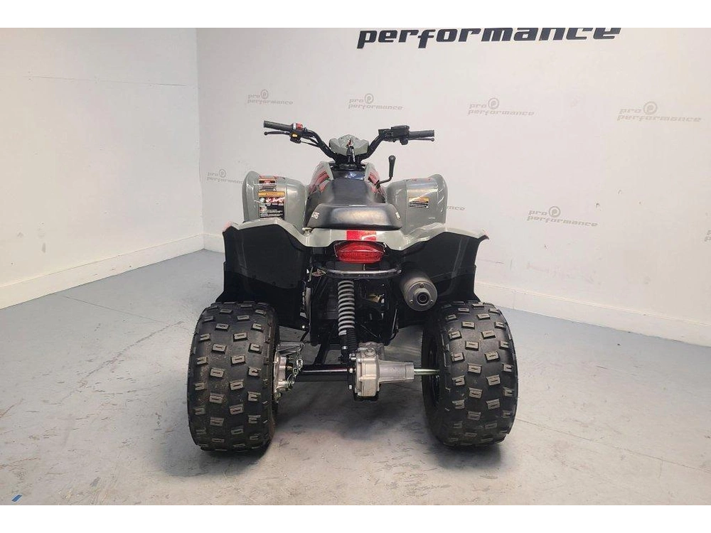2022 Polaris Phoenix 200 alt