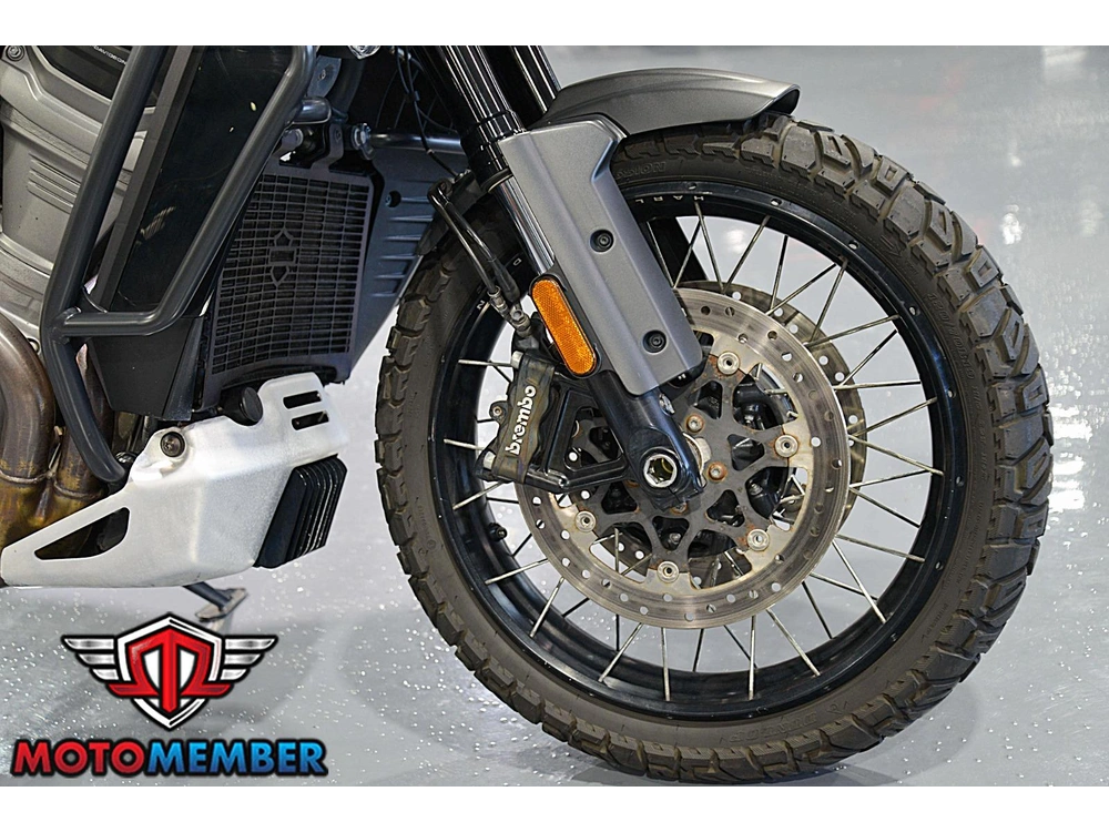 2022 Harley-davidson Ra1250s Panamerica Special