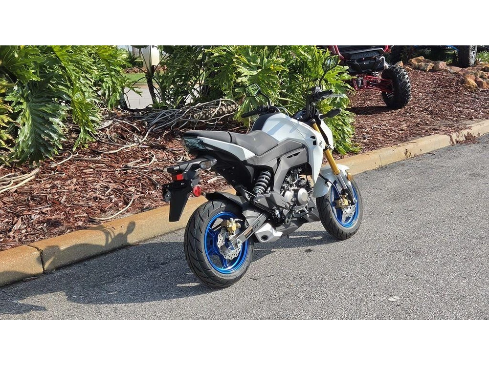 2026 Kawasaki Z125 Pro