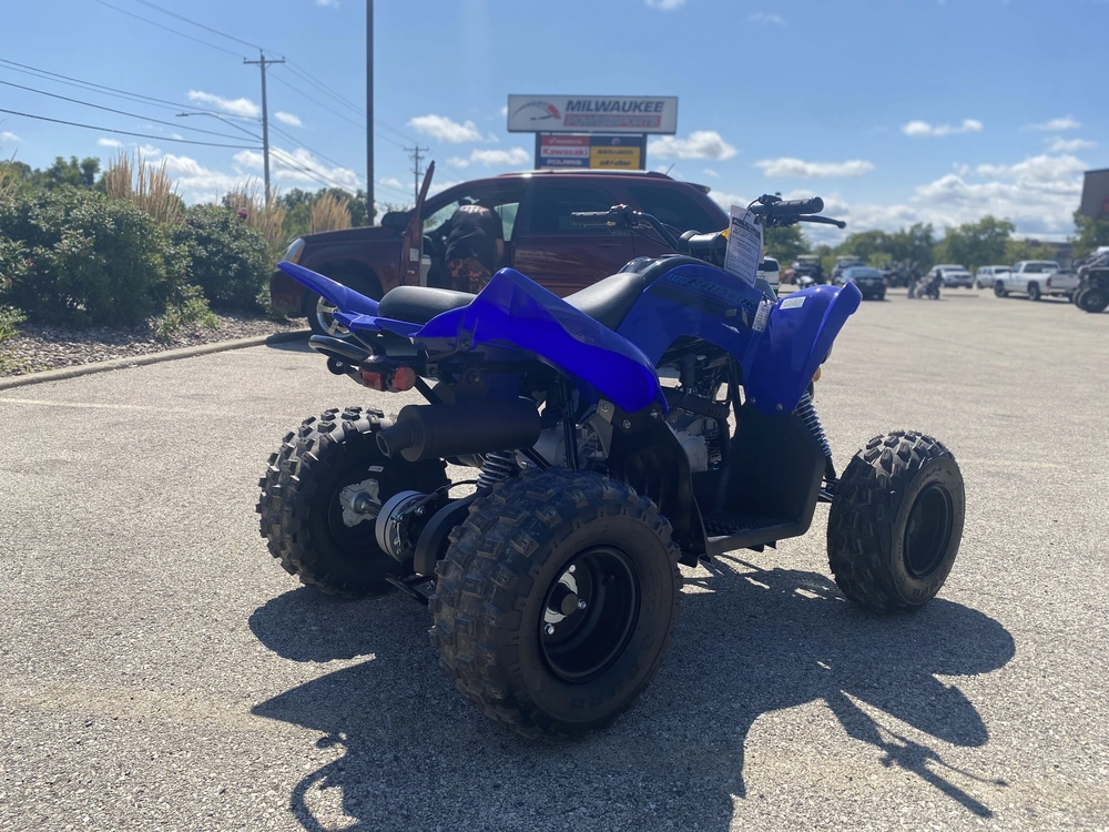 2026 Yamaha Raptor 110