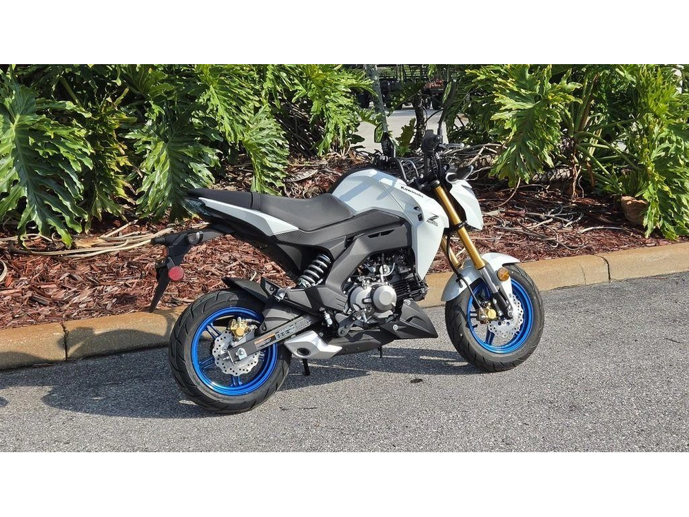 2026 Kawasaki Z125 Pro