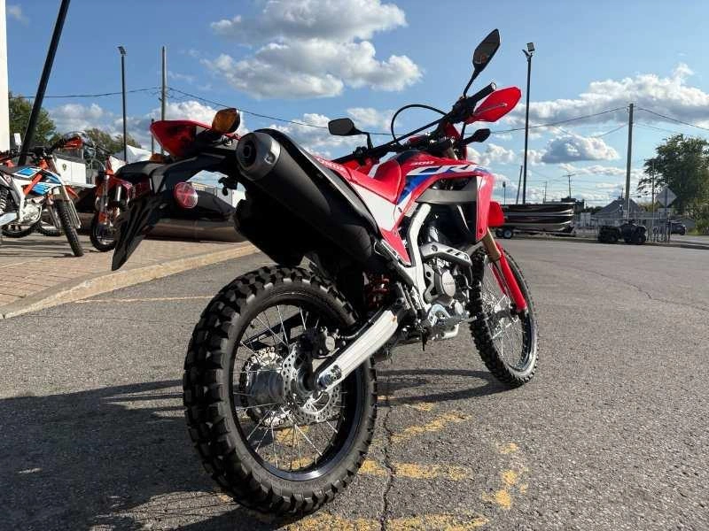 Honda Crf300l 2023 alt