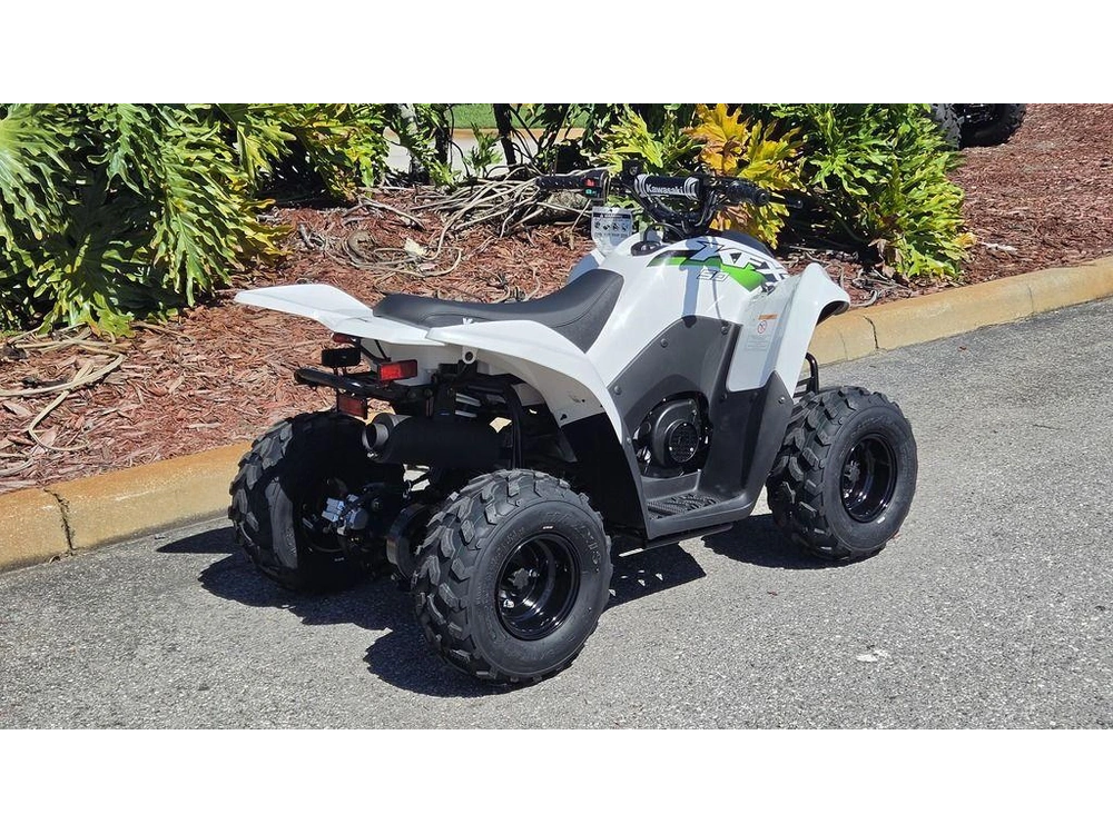 2027 Kawasaki Kfx®50
