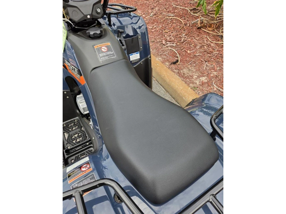 2026 Kawasaki Brute Force® 300