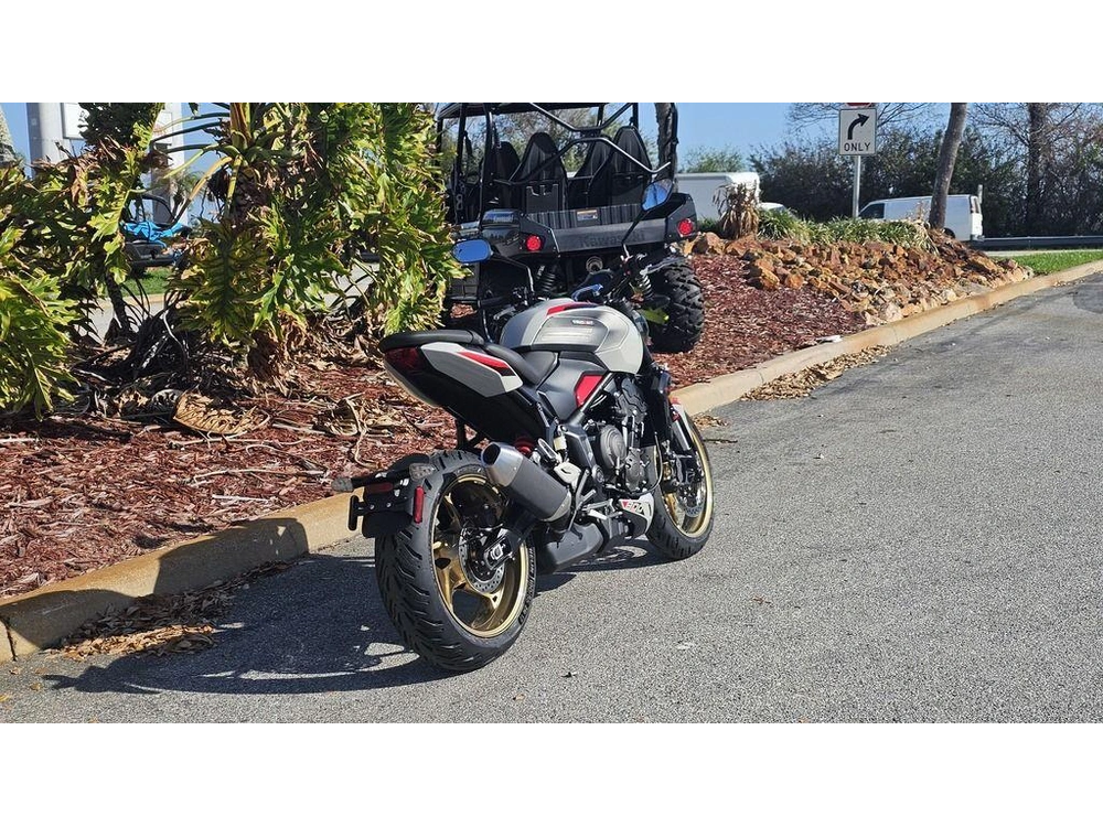 2026 Triumph Trident 800 Ash Grey