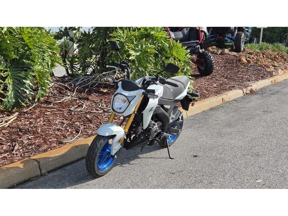 2026 Kawasaki Z125 Pro