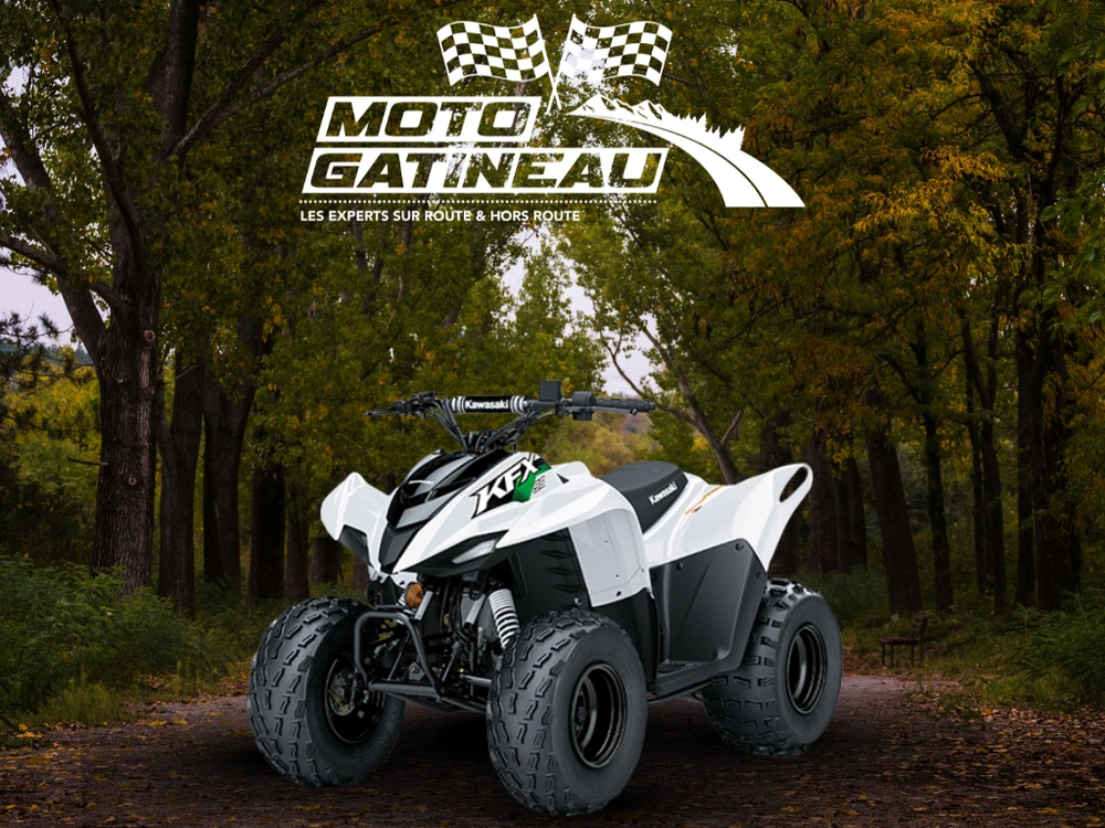 Kawasaki Kfx90 2027 alt