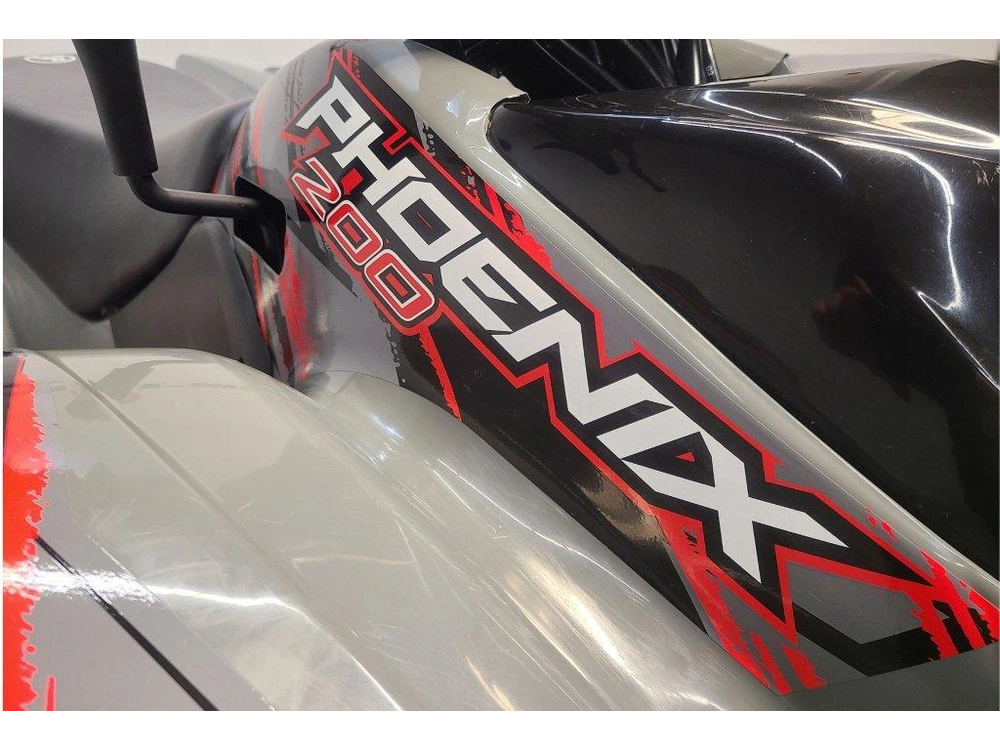 2022 Polaris Phoenix 200 alt