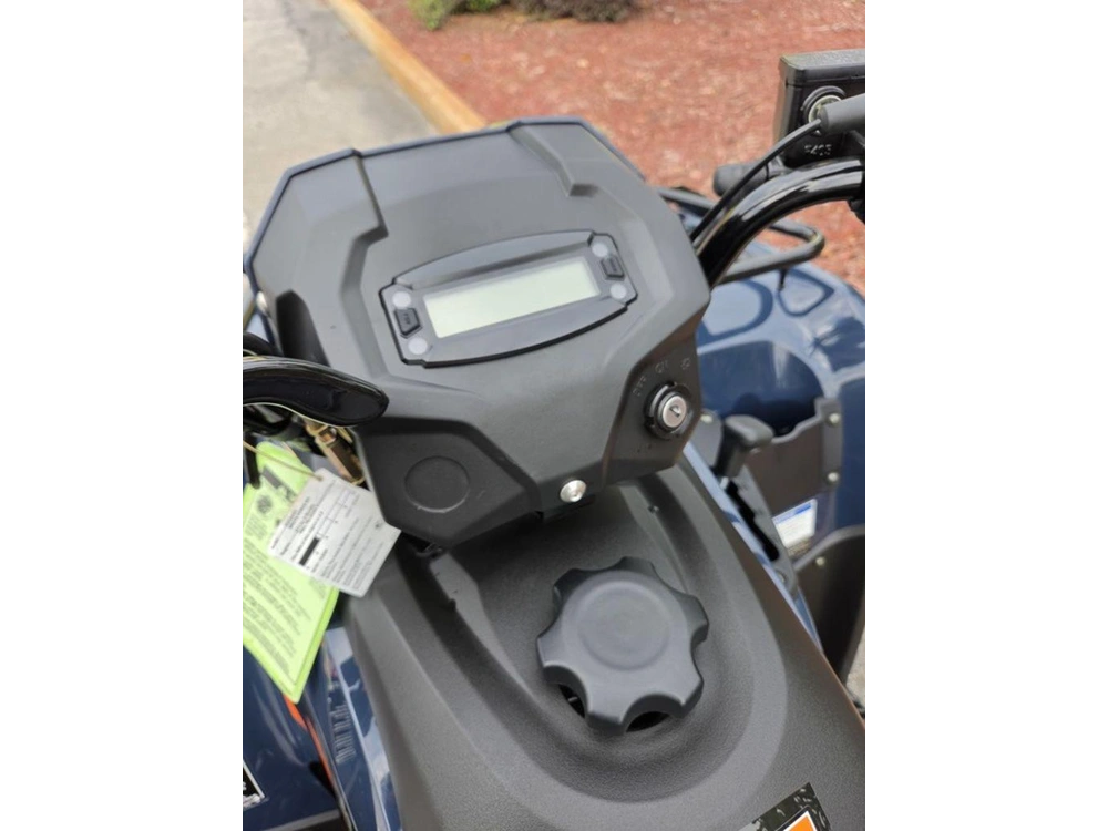 2026 Kawasaki Brute Force® 300
