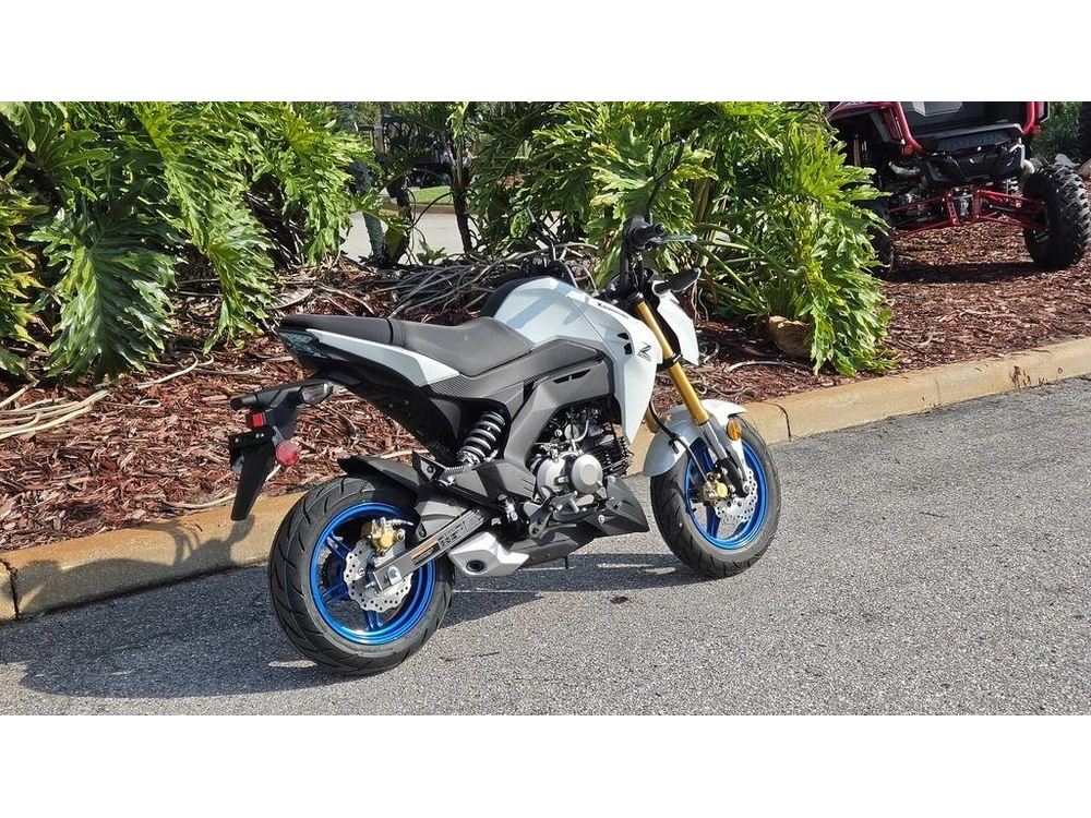 2026 Kawasaki Z125 Pro