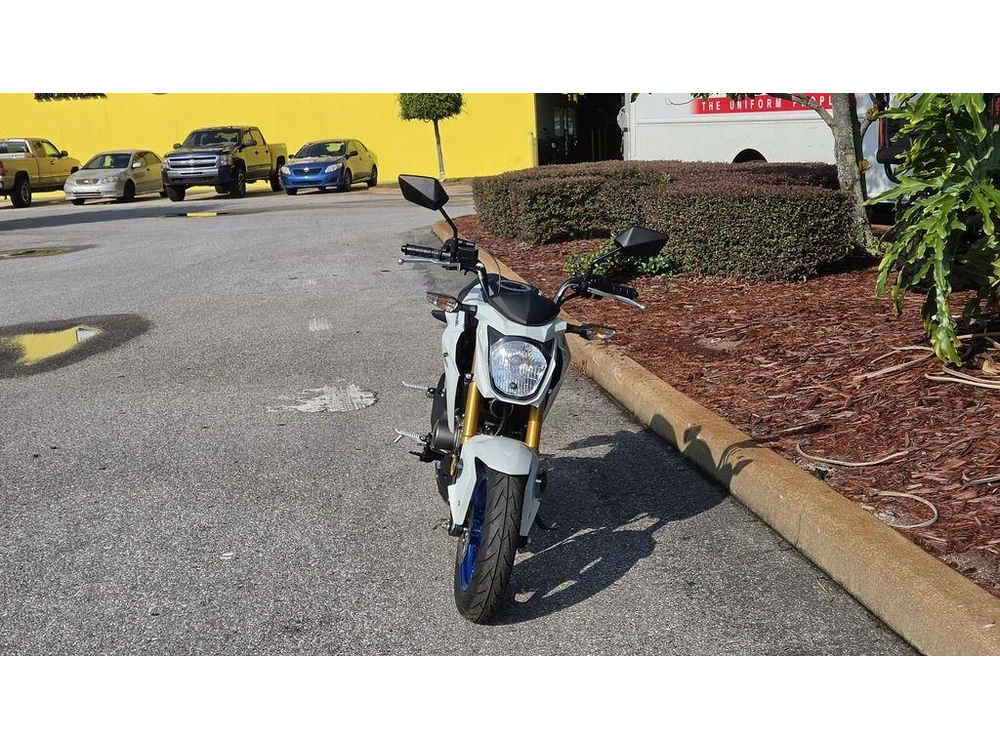 2026 Kawasaki Z125 Pro